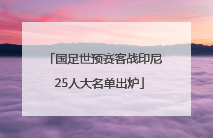 国足世预赛客战印尼25人大名单出炉