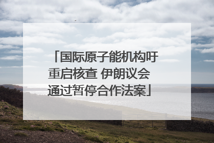 国际原子能机构吁重启核查 伊朗议会通过暂停合作法案