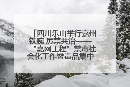 四川乐山举行嘉州铁腕 厉禁共治——“嘉网工程”禁毒社会化工作暨毒品集中销毁启动仪式