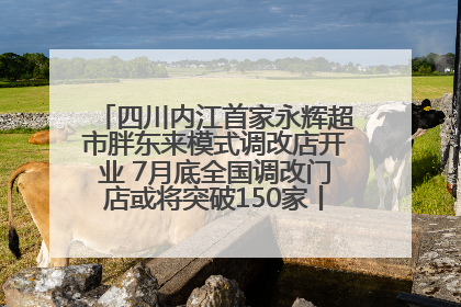 四川内江首家永辉超市胖东来模式调改店开业 7月底全国调改门店或将突破150家丨新经济观察