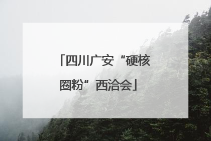 四川广安“硬核圈粉”西洽会