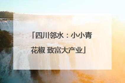 四川邻水：小小青花椒 致富大产业