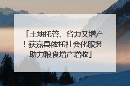土地托管、省力又增产！获嘉县依托社会化服务助力粮食增产增收