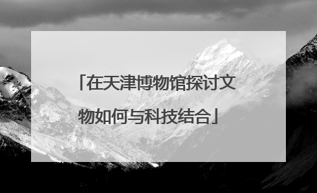 在天津博物馆探讨文物如何与科技结合