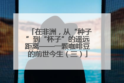 在非洲，从“种子”到“杯子”的遥远距离——一颗咖啡豆的前世今生（三）