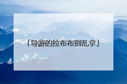 导游的拉布布别乱拿