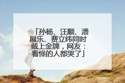 孙杨、汪顺、潘展乐、费立纬同时戴上金牌，网友：看懂的人都哭了
