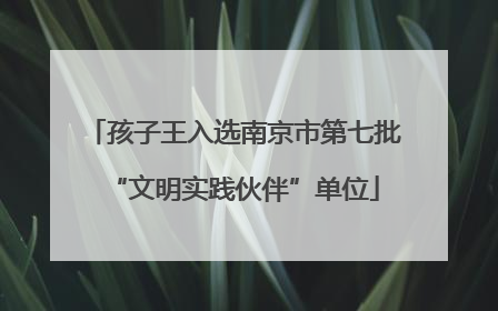 孩子王入选南京市第七批“文明实践伙伴”单位