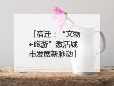 宿迁：“文物+旅游”激活城市发展新脉动