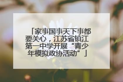 家事国事天下事都要关心，江苏省镇江第一中学开展“青少年模拟政协活动”