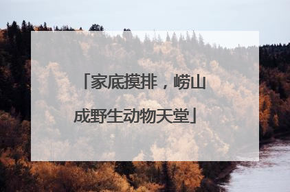 家底摸排，崂山成野生动物天堂