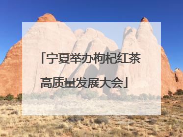 宁夏举办枸杞红茶高质量发展大会