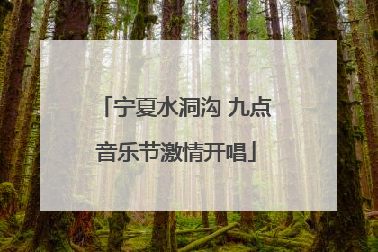宁夏水洞沟 九点音乐节激情开唱