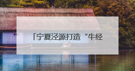 宁夏泾源打造“牛经济”全产业链 品牌价值突破35亿元