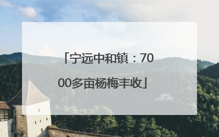 宁远中和镇：7000多亩杨梅丰收