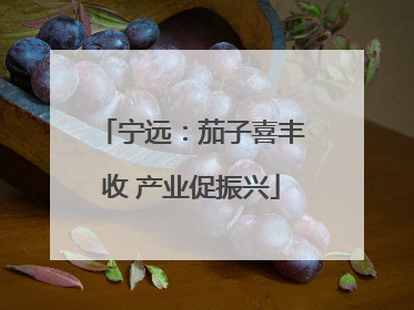 宁远：茄子喜丰收 产业促振兴