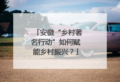 安徽“乡村著名行动”如何赋能乡村振兴？