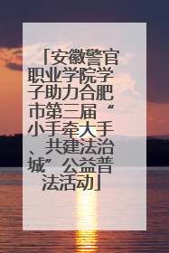 安徽警官职业学院学子助力合肥市第三届“小手牵大手、共建法治城”公益普法活动