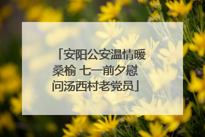 安阳公安温情暖桑榆 七一前夕慰问汤西村老党员