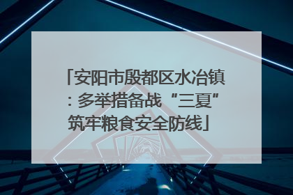 安阳市殷都区水冶镇：多举措备战“三夏” 筑牢粮食安全防线