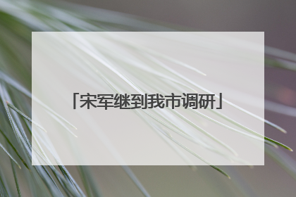 宋军继到我市调研