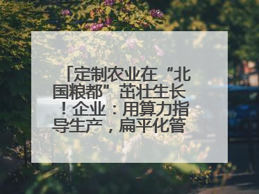 定制农业在“北国粮都”茁壮生长！企业：用算力指导生产，扁平化管理种地
