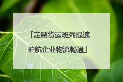 定制货运班列提速 护航企业物流畅通