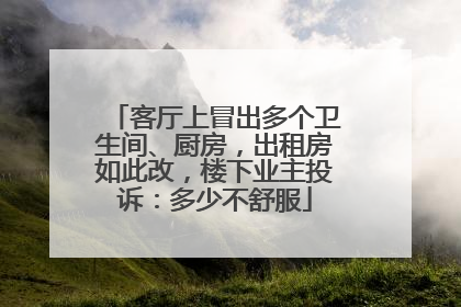 客厅上冒出多个卫生间、厨房，出租房如此改，楼下业主投诉：多少不舒服