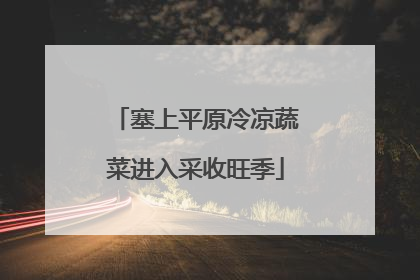 塞上平原冷凉蔬菜进入采收旺季