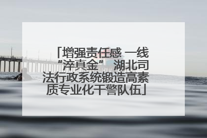 增强责任感 一线“淬真金” 湖北司法行政系统锻造高素质专业化干警队伍