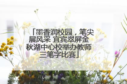 墨香润校园，笔尖展风采 宜宾翠屏金秋湖中心校举办教师三笔字比赛