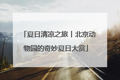 夏日清凉之旅丨北京动物园的奇妙夏日大赏