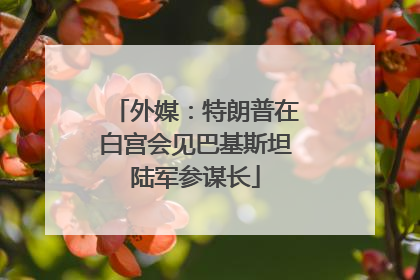 外媒：特朗普在白宫会见巴基斯坦陆军参谋长