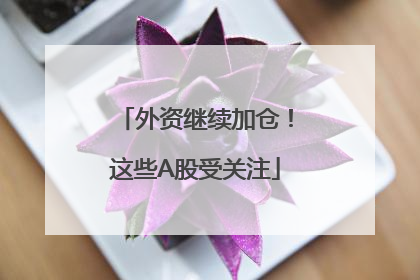 外资继续加仓！这些A股受关注