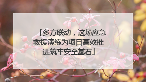多方联动，这场应急救援演练为项目高效推进筑牢安全基石