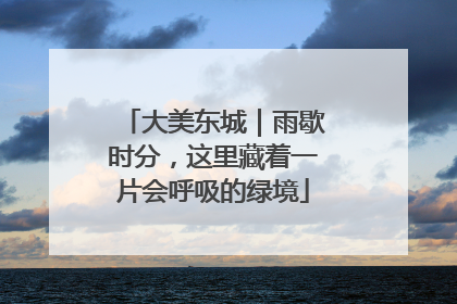 大美东城｜雨歇时分，这里藏着一片会呼吸的绿境