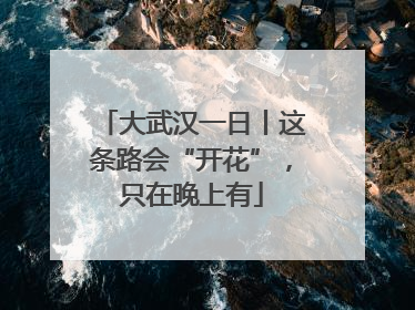 大武汉一日丨这条路会“开花”，只在晚上有