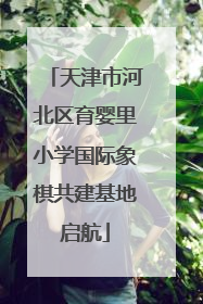 天津市河北区育婴里小学国际象棋共建基地启航