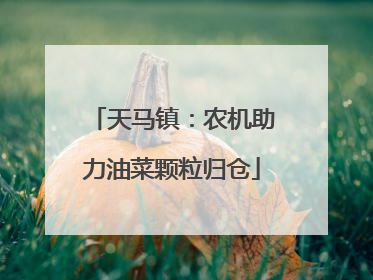 天马镇：农机助力油菜颗粒归仓