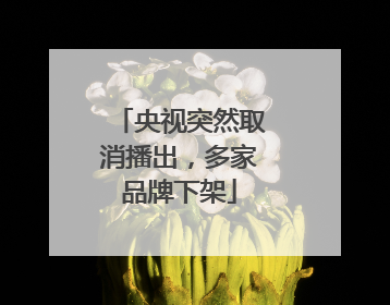 央视突然取消播出，多家品牌下架