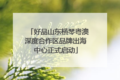 好品山东横琴粤澳深度合作区品牌出海中心正式启动