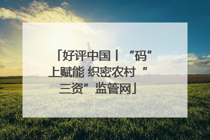 好评中国丨“码”上赋能 织密农村“三资”监管网