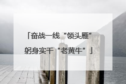 奋战一线“领头雁” 躬身实干“老黄牛”