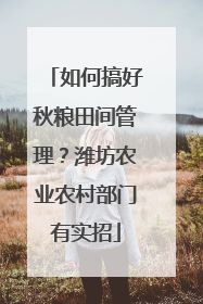 如何搞好秋粮田间管理？潍坊农业农村部门有实招