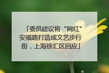 委员建议将“网红”安福路打造成文艺步行街，上海徐汇区回应