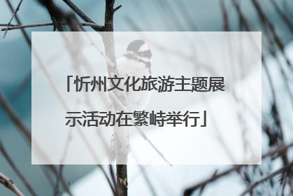 忻州文化旅游主题展示活动在繁峙举行