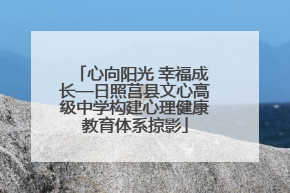 心向阳光 幸福成长—日照莒县文心高级中学构建心理健康教育体系掠影