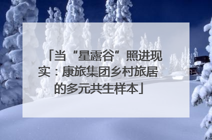 当“星露谷”照进现实：康旅集团乡村旅居的多元共生样本