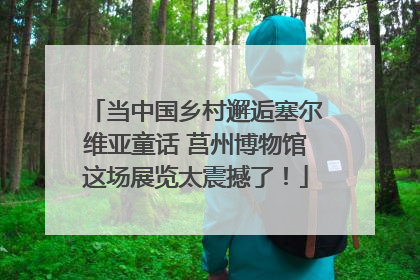 当中国乡村邂逅塞尔维亚童话 莒州博物馆这场展览太震撼了！