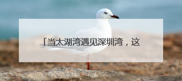 当太湖湾遇见深圳湾，这场产业对接干货满满……